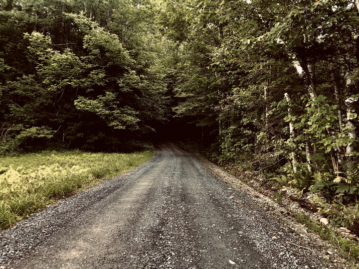 Where the monsters come out