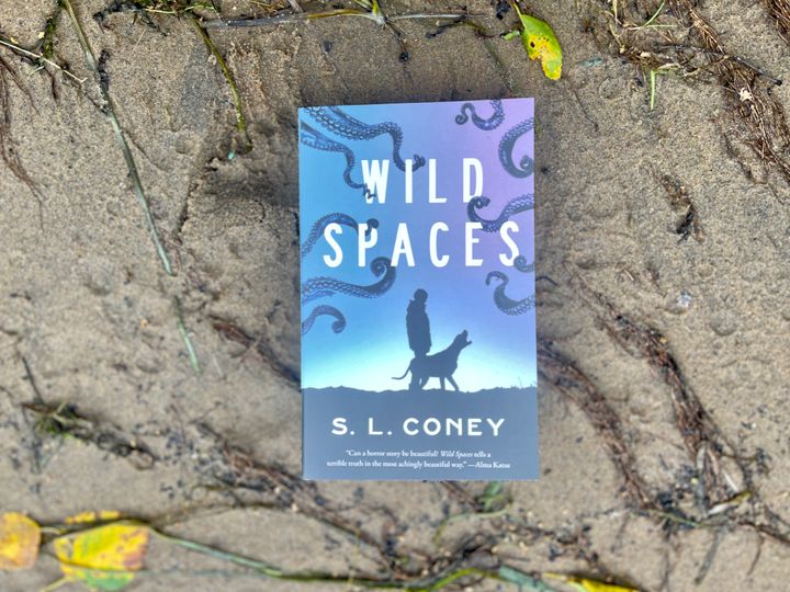 Seaside transformations